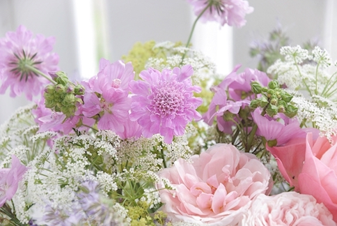 Blumendetails